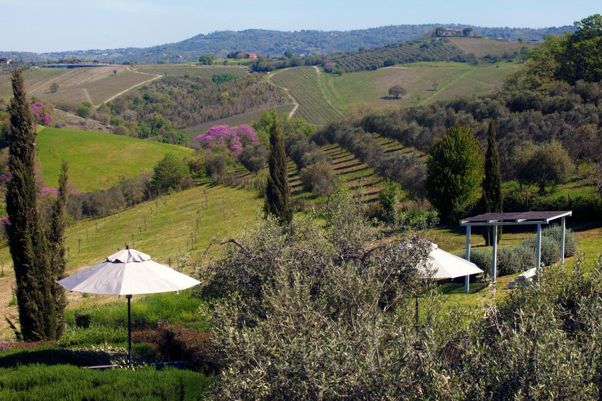 Casale Sterpeti Magliano in Toscana Exterior foto