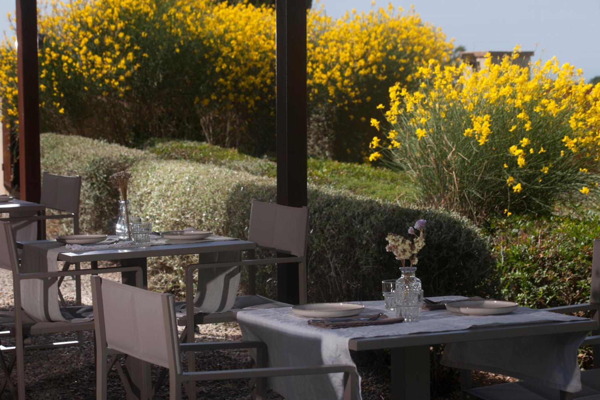 Casale Sterpeti Magliano in Toscana Exterior foto