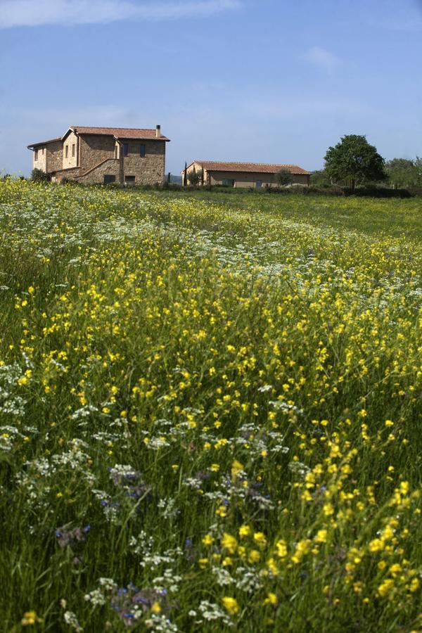 Casale Sterpeti Magliano in Toscana Exterior foto
